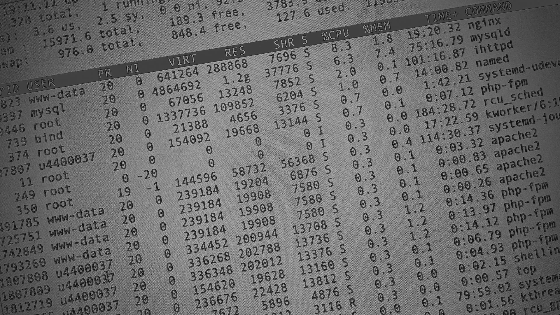 Настройка сервера в Тавде Настройка сервера в Тавде